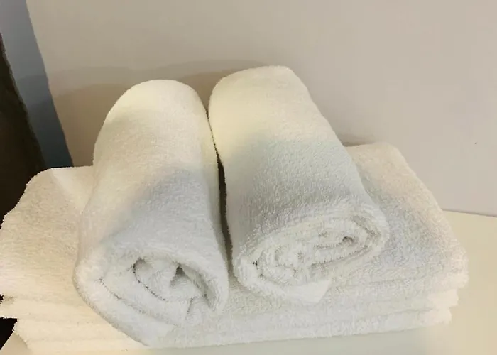 The Delight * Lissabon