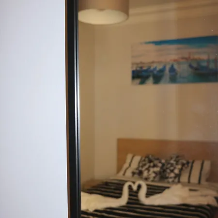 بيت شباب The Delight *