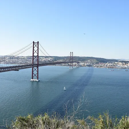 بيت شباب The Delight