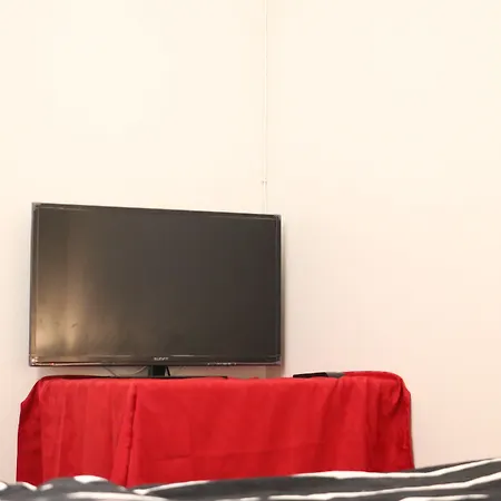 The Delight リスボン